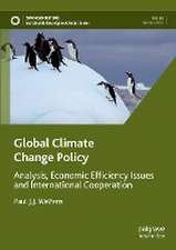 Global Climate Change Policy: Analysis, Economic Efficiency Issues and International Cooperation