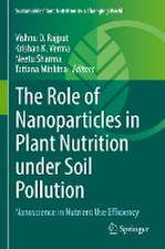 The Role of Nanoparticles in Plant Nutrition under Soil Pollution: Nanoscience in Nutrient Use Efficiency