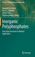 Inorganic Polyphosphates: From Basic Research to Medical Application