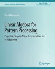 Linear Algebra for Pattern Processing: Projection, Singular Value Decomposition, and Pseudoinverse