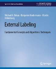 External Labeling: Fundamental Concepts and Algorithmic Techniques