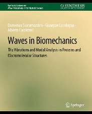 Waves in Biomechanics: THz Vibrations and Modal Analysis in Proteins and Macromolecular Structures