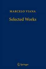 Marcelo Viana - Selected Works