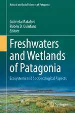 Freshwaters and Wetlands of Patagonia: Ecosystems and Socioecological Aspects