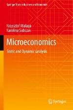 Microeconomics: Static and Dynamic Analysis