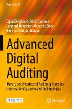 Advanced Digital Auditing: Theory and Practice of Auditing Complex Information Systems and Technologies