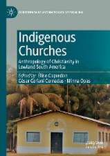 Indigenous Churches: Anthropology of Christianity in Lowland South America