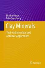 Clay Minerals: Their Antimicrobial and Antitoxic Applications