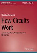 How Circuits Work: Amplifiers, Filters, Audio and Control Electronics