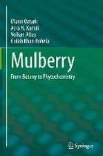 Mulberry: From Botany to Phytochemistry