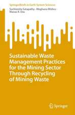 Sustainable Waste Management Practices for the Mining Sector Through Recycling of Mining Waste