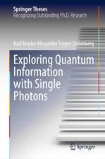 Exploring Quantum Information with Single Photons