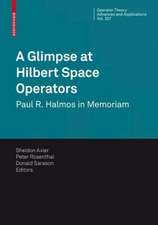 A Glimpse at Hilbert Space Operators: Paul R. Halmos in Memoriam