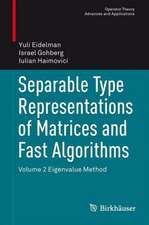 Separable Type Representations of Matrices and Fast Algorithms