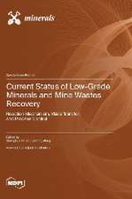 Current Status of Low-Grade Minerals and Mine Wastes Recovery