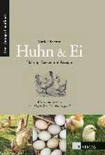 Huhn & Ei