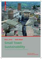 Small Town Sustainability – Economic, Social, and Environmental Innovation