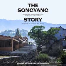 The Songyang Story: Architectural Acupuncture as Driver for Socio-Economic Progress in Rural China. Projects by Xu Tiantian, DnA_Beijing