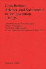 Groß-Berliner Arbeiter- und Soldatenräte in der Revolution 1918/19: Dokumente der Vollversammlungen und des Vollzugsrates. Vom 1. Reichsrätekongreß bis zum Generalstreikbeschluß am 3. März 1919