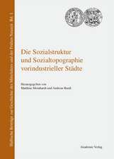 Die Sozialstruktur und Sozialtopographie vorindustrieller Städte