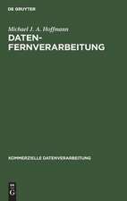 Datenfernverarbeitung: Verkehrsarten und Wirtschaftlichkeit der Datenübertragung