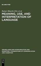 Meaning, Use, and Interpretation of Language