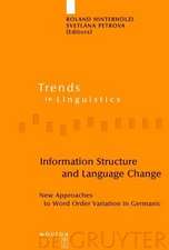 Information Structure and Language Change: New Approaches to Word Order Variation in Germanic