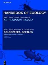 Coleoptera, Beetles. Morphology and Systematics