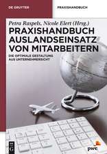 Praxishandbuch Auslandseinsatz von Mitarbeitern: Die optimale Gestaltung aus Unternehmersicht