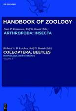 Morphology and Systematics: Phytophaga