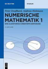 Numerische Mathematik 1