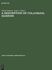 A description of colloquial Guarani