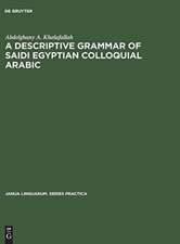 A descriptive grammar of saidi Egyptian colloquial Arabic