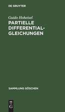 Partielle Differentialgleichungen