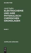 Elektrochemie und ihre physikalisch-chemischen Grundlagen: Bd. 1