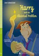 Harry and the Electrical Problem