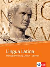 Lingua Latina ex efef. (e forma - functione). Intensivkurs Latinum. Lektüreheft Caesar und Cicero