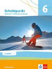 Schnittpunkt Mathematik 6. Differenzierende Ausgabe N