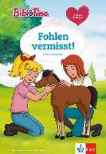 Bibi & Tina: Fohlen vermisst!