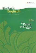 Raisin in the Sun. EinFach Englisch Unterrichtsmodelle