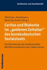 Caritas Und Diakonie Im 'Goldenen Zeitalter' Des Bundesdeutschen Sozialstaats: Transformationen Der Konfessionellen Wohlfahrtsverbande in Den 1960er J