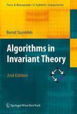 Algorithms in Invariant Theory