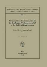 Wirtschaftliche Gesichtspunkte für die Großraum-Verbundwirtschaft in der Elektrizitätsversorgung: Heft 9