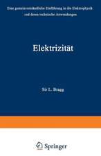 Elektrizität: Eine gemeinverständliche Einführung in die Elektrophysik und deren technische Anwendungen