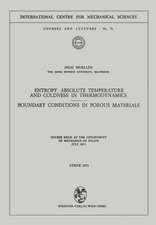 Entropy, Absolute Temperature and Coldness in Thermodynamics: Boundary Conditions in Porous Materials