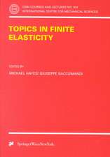 Topics in Finite Elasticity