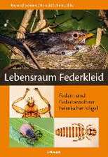 Lebensraum Federkleid