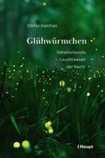 Glühwürmchen