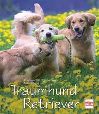 Traumhund Retriever