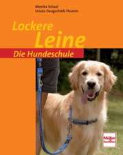 Die Hundeschule: Lockere Leine